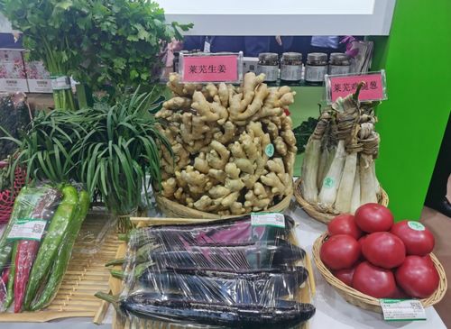 济南市40余个优质产品亮相第二十二届绿博会